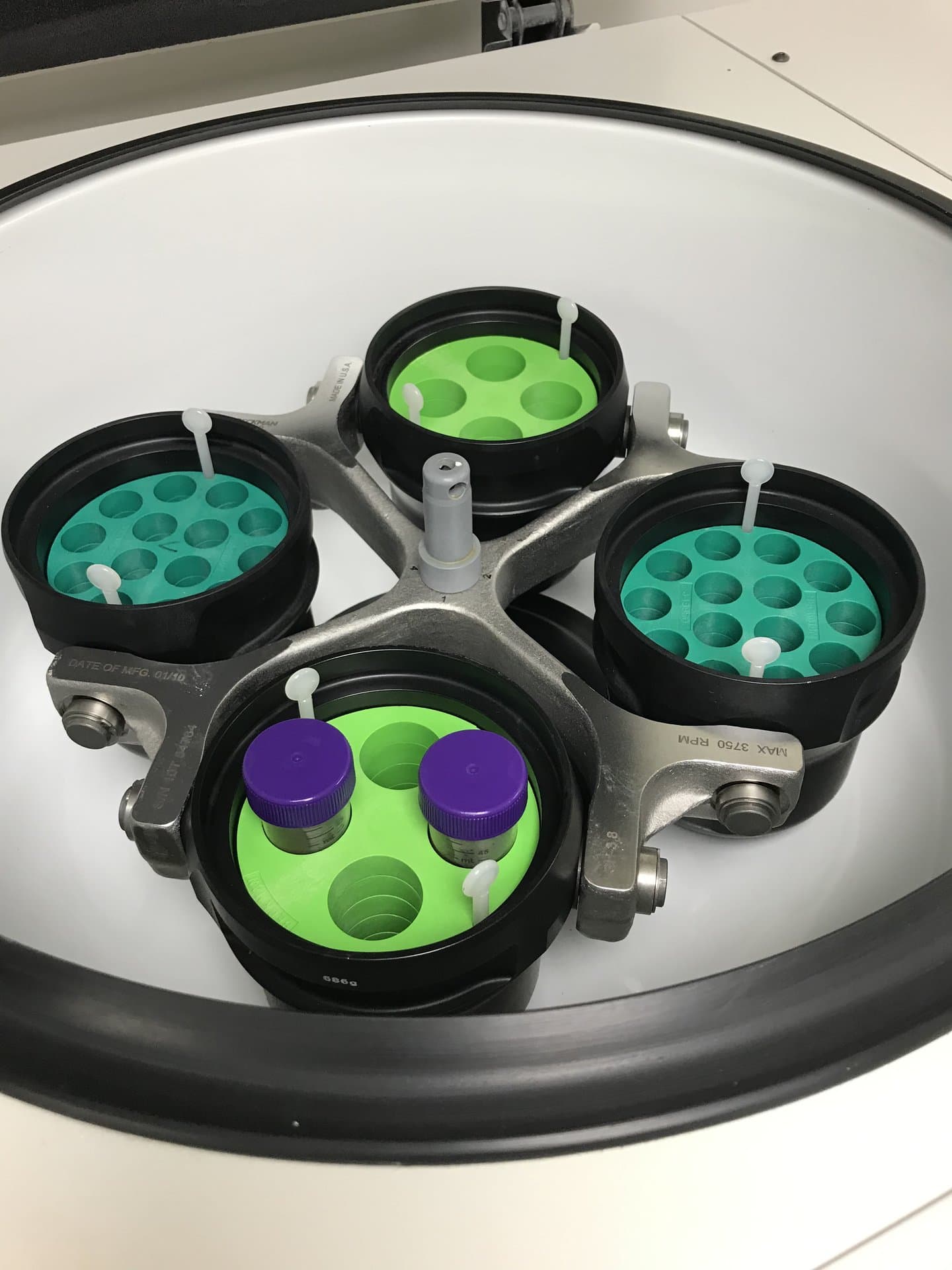 Life at Forever Labs 19