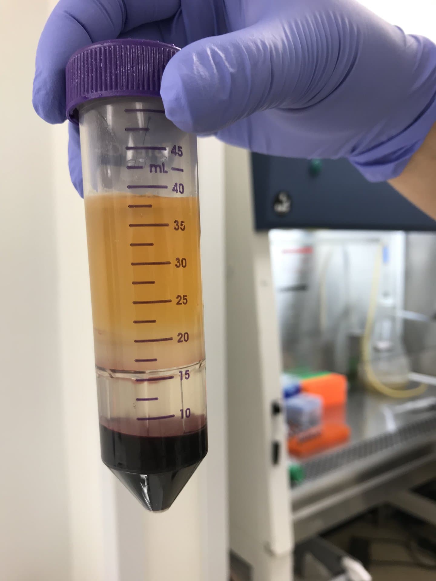 Life at Forever Labs 21