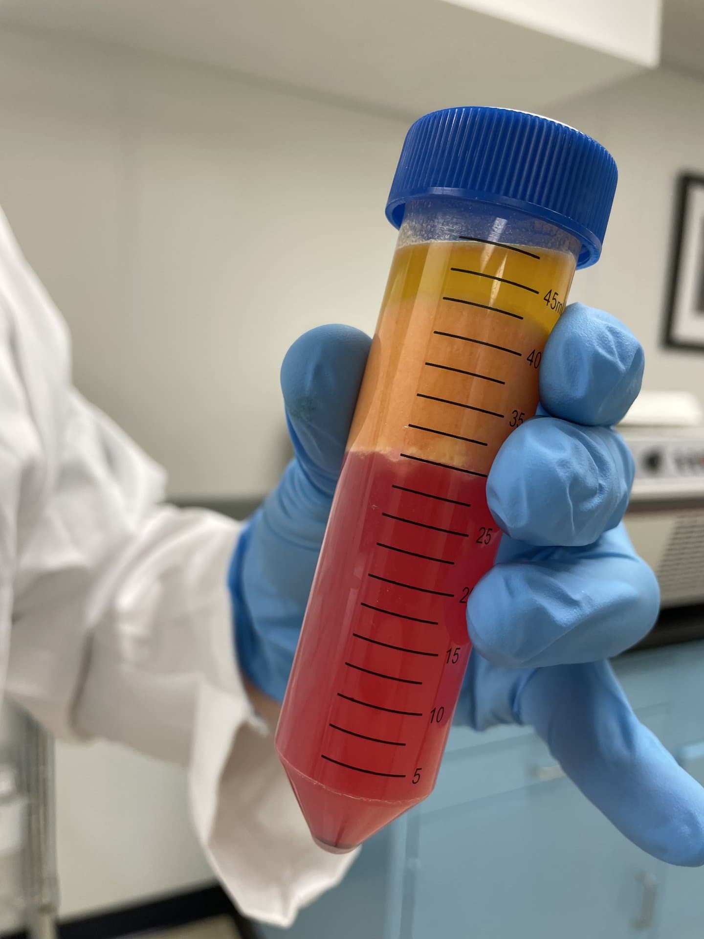 Life at Forever Labs 26