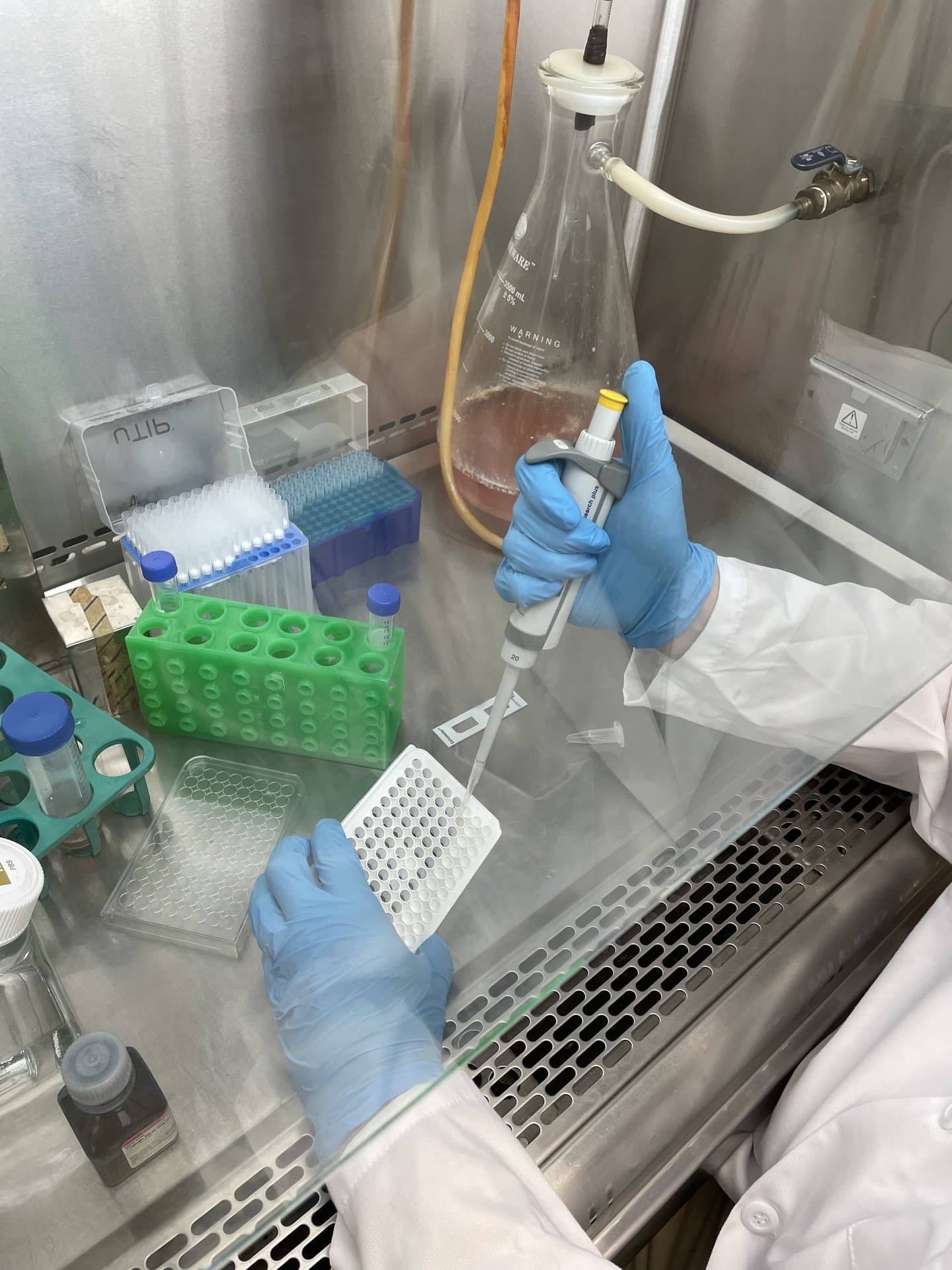 Life at Forever Labs 27